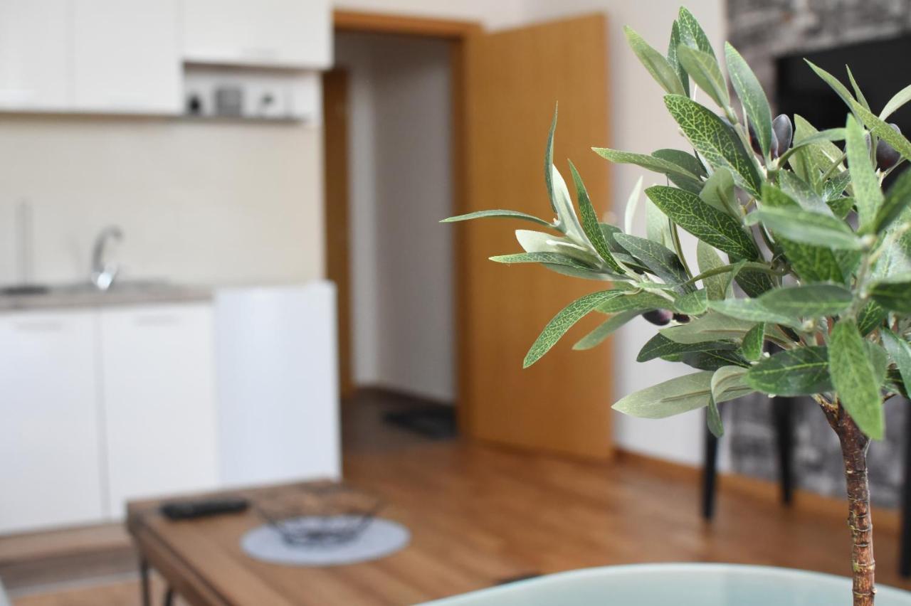 Millenium Apartment Sokobanja Eksteriør billede